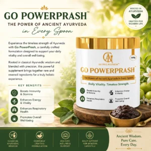 Go Powerprash