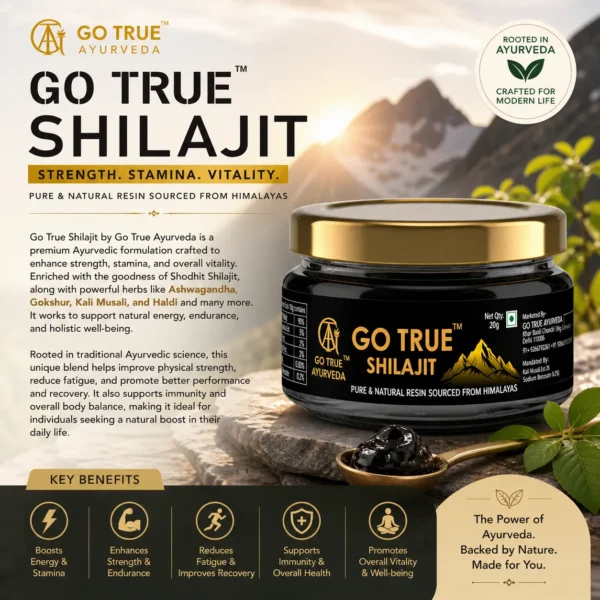 Go True Shilajit – Go True Ayurveda