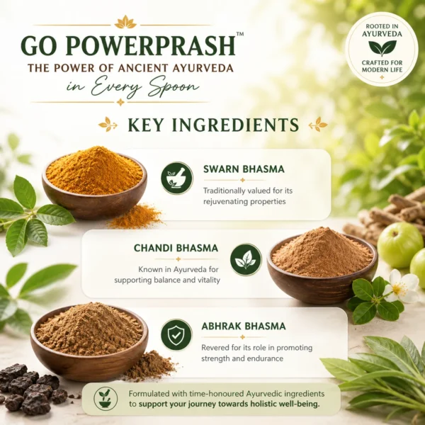 Go Powerprash